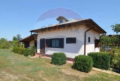 Teren de 1944 mp, în Dărăști-Vlașca - 8