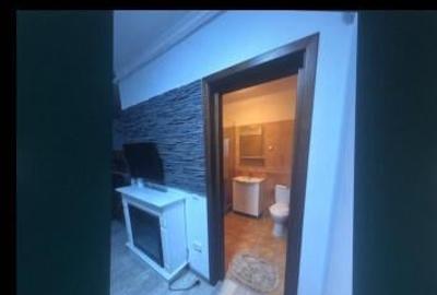 Brancoveanu luica berceni parter - 5