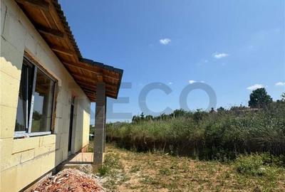 Casă cu 3 camere cu Teren 600 Mp în Paleu - 2