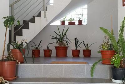 Apartament 4 camere centru DIRECT DE LA PROPRIETAR fara comision
