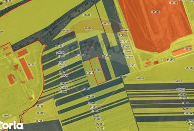 Teren de 6200 mp, în Central - 3