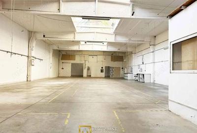 Hala industriala 431 mp de inchiriat central Arad, acces TIR - 5