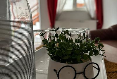 APARTAMENT 3 CAMERE LA CASA - SCHEI - 6