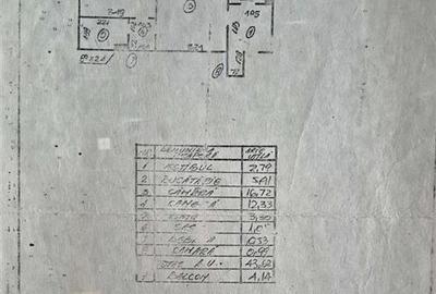 Apartament cu 2 camere decomandat, mobilat în Ferdinand - 12