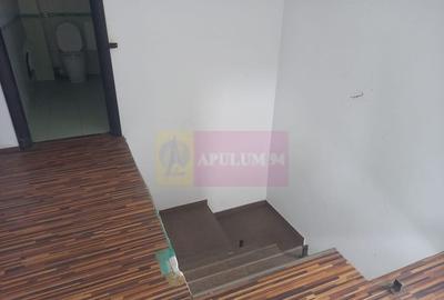 Casa de vanzare Clinceni - 19