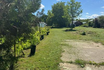 Teren Snagov – Ideal pentru dezvoltare rezidentiala sau investitie! - 2