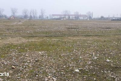 Teren de 15000 mp, în Tinca - 3