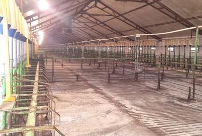 Spațiu industrial, de 1,600 mp, în Exterior Nord - 5