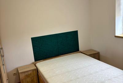 Apartament cu 2 camere, mobilat în Tătărași - 6