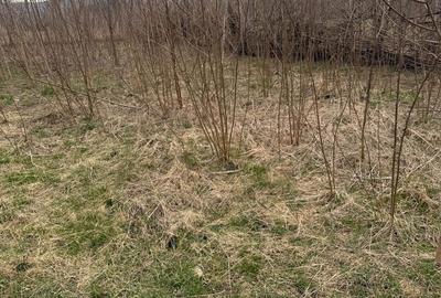 Teren de 5200 mp, în Brebu - 3