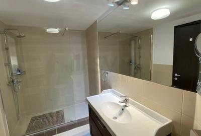 REA1008147 Penthouse 5 camere superb-vedere directa Herastrau - 14