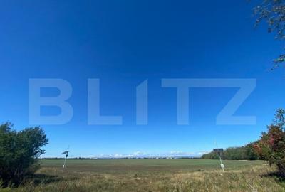 Teren extravilan, 17000mp, Aricestii Rahtivani Teren extravilan, 17000mp, Aricestii Rahtivani - 2