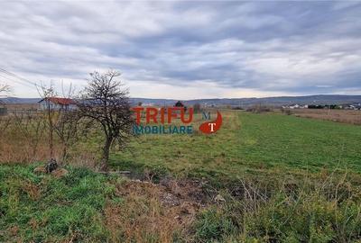 Teren 2160mp în  Partoș - 10