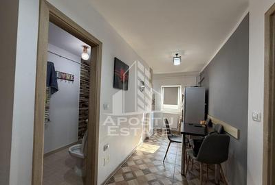 Apartament cu o camera, 38mp, renovat, luminos, zona Lunei - 7