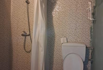 Apartament cu 2 camere decomandat, mobilat în Victoriei - 18