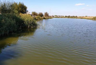 Spațiu comercial, în Berceni