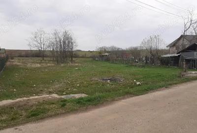 Teren de 1620 mp, în Bradu - 3