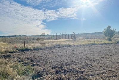 Teren intravilan de vanzare in Cihei - 3