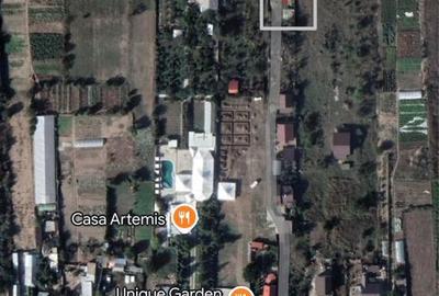 Spațiu comercial, în Vărsătura - 1