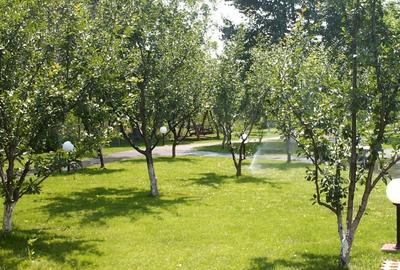 Vila Valea Prahovei , 15 camere,piscina,teren mult, pretabila camin varstnici - 7