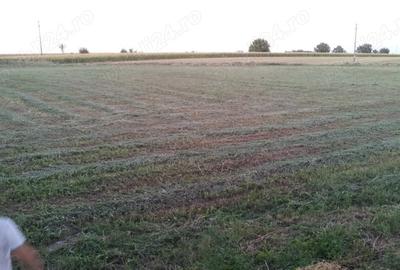 Spațiu comercial, în Cărpiniș - 46