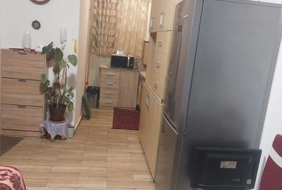 Garsonieră nedecomandată în Traian - 7