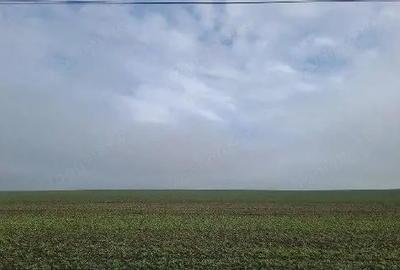 Teren extravilan Orbeasca, ID: R2836912 - 1