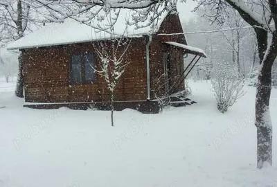 Cabana de vanzare: Ibanesti - Zimti intr-o zona de vis, pe malul apei - 7