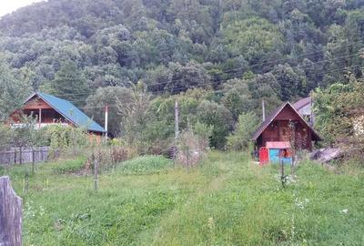 Teren de 725 mp, în Păscoaia - 2