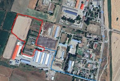 Teren Construcții intravilan de 24000 mp, în Tichilești - 2