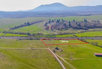 Teren de 7786 mp, în Vlădeni