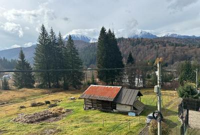 VIGAFON - Pensiune-casa de vacanta Predeal - 9