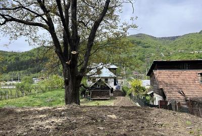 Casă cu 3 camere în Central - 4