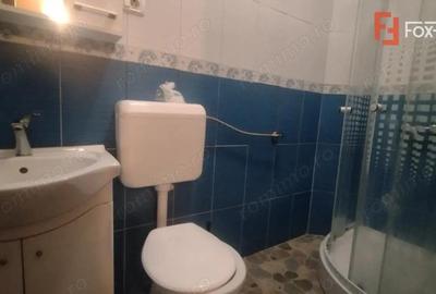 Casa tip calcan 5 camere, zona Mehala - Oportunitate investitie - 13