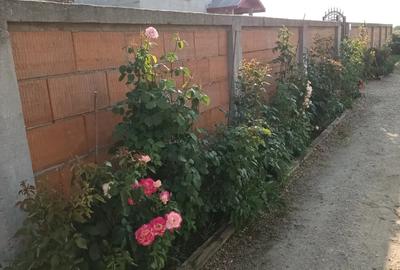 De vanzare ( 18 km de Bucure?ti) - 3