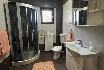 Vila ideala pentru familie numeroasa Clinceni - 13