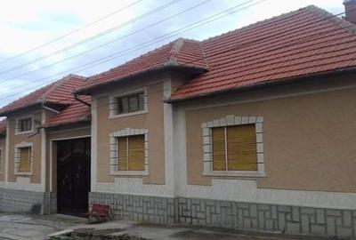 Casă de vînzare și grădină. - 11
