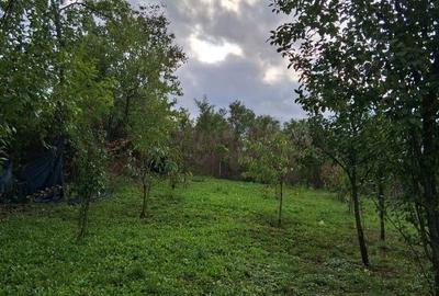 Spațiu comercial, în Românești - 3