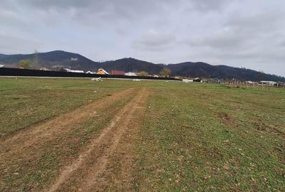 Teren de 17500 mp, în Central - 11