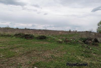 Sisesti str.Dirijorului (in capatul str.Al.Bratu) 1000 mp deschidere 18,27 ml - 7