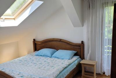 Casa de vacanta ( 7 camere)si casa batraneasca in inima Bucovinei - 8