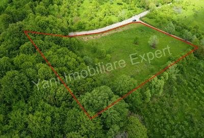 Teren de vanzare in comuna Corbi, jude? Arge?. - 16