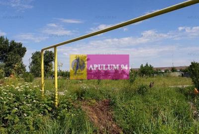 Teren construcție casă - 1 Decembrie - Zona Metropolitană București Teren construcție casă - 1 Decembrie - Zona Metropolitană București - 50