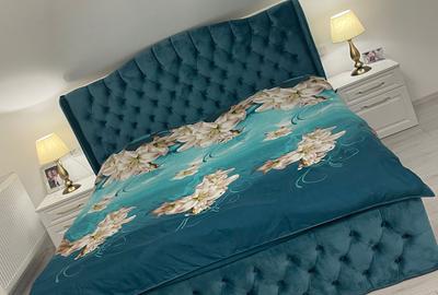 Apartament cu 3 camere decomandat în Ostroveni - 1