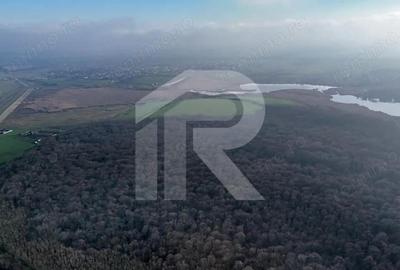 Teren langa Manastirea Sfantul Nicolae Sitaru - 5