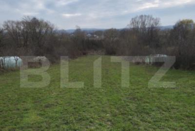 Teren de 3000 mp, în Plopu - 3