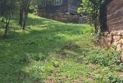 Casă cu 3 camere cu Teren 5800 Mp în Albac - 2