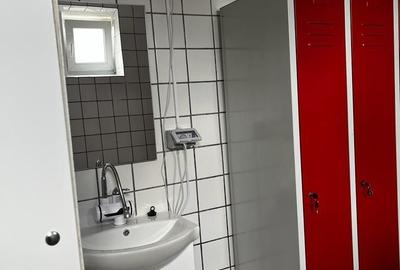 Spatiu industrial productie/ depozitare, Timiș - 37