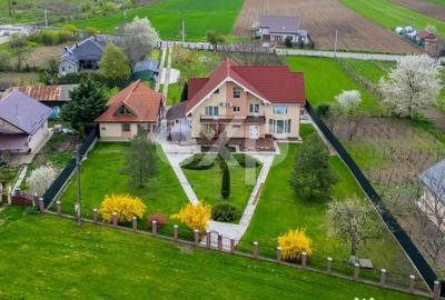 Casă cu 5 camere cu Teren 3659 Mp în Sărata - 15