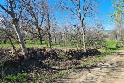 Teren de 5407 mp, în Valea Mică - 4